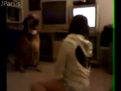 One night at a wild sleepover, an 18-year-old black cock slut plays on the floor with her dog.